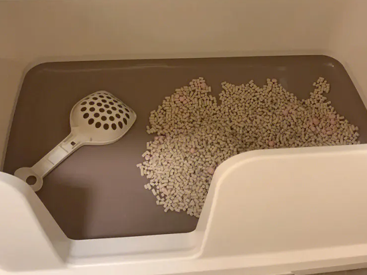 佳乐滋猫砂盆可以使用豆腐砂吗? 佳乐滋猫砂盆可以使用豆腐砂吗?