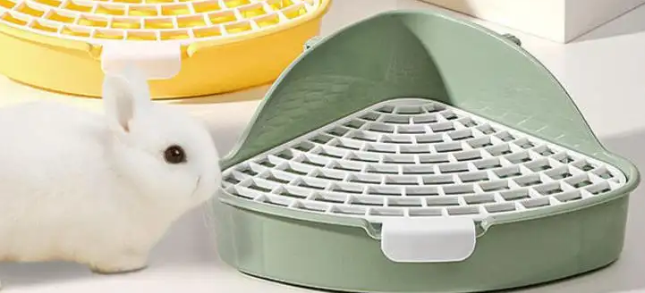 禾欧宠物用品:为宠物提供全方位的贴心呵护 禾欧宠物用品:为宠物提供全方位的贴心呵护