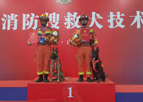 首赛凯旋,他们荣获搜救犬比武单项全国第一 首赛凯旋,他们荣获搜救犬比武单项全国第一