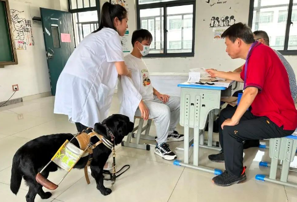 “盲人高考”导盲犬陪我上考场