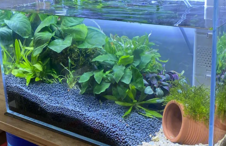 自制鱼缸过滤器 自制鱼缸过滤器