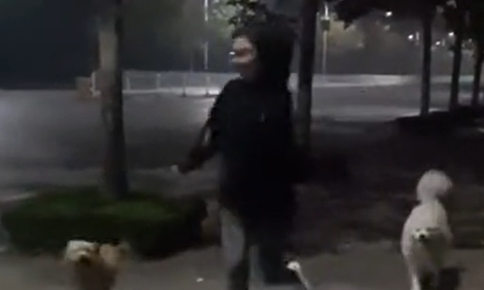 山东女生和狗赛跑,摔倒后被妈妈无情嘲讽,网友:输了比赛还丢人