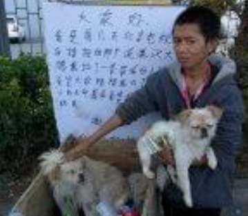 流浪汉与流浪狗的感人故事，看到金毛后！忍不住泪目！