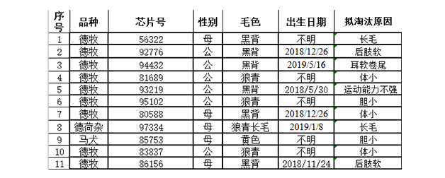 一群狗子考警犬结果惨遭落选，原来小狗考编也这么难