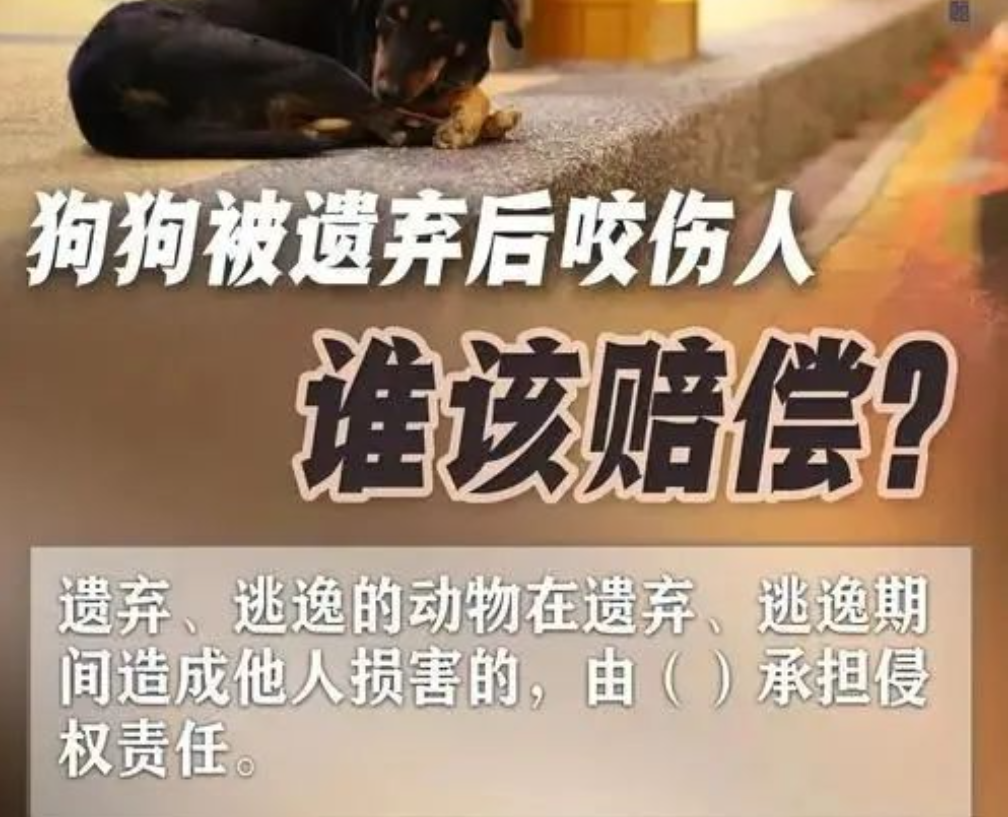 宠物狗遗弃咬伤他人谁负责？《明法典》里这么说！