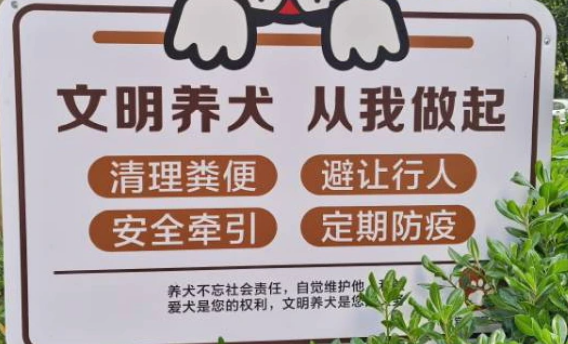 福州养狗新规明年元旦起正式施行
