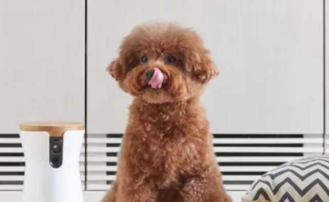 小红书副业赚钱 小红书副业赚钱