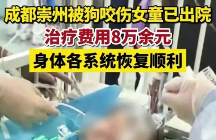 成都被狗咬伤小女孩出院，却被爱狗人士指责：多少小动物因你而死