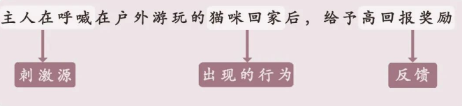 MEMO—猫问题行为的专业管理策略 MEMO—猫问题行为的专业管理策略
