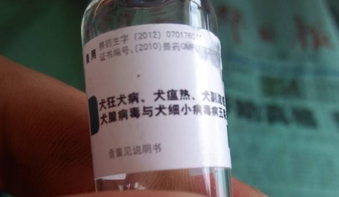 五联疫苗打几针