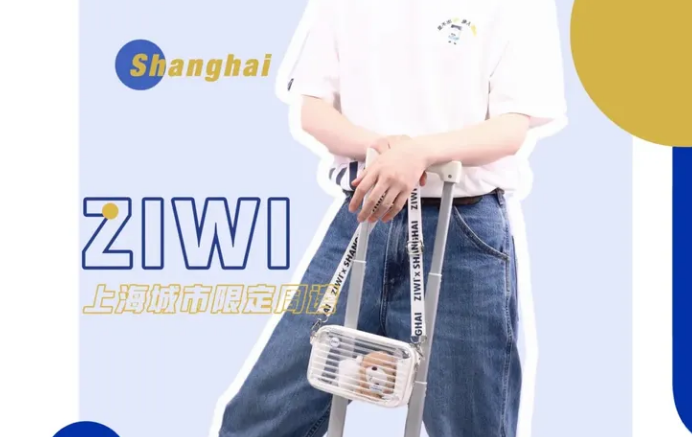 海际它品客服电话