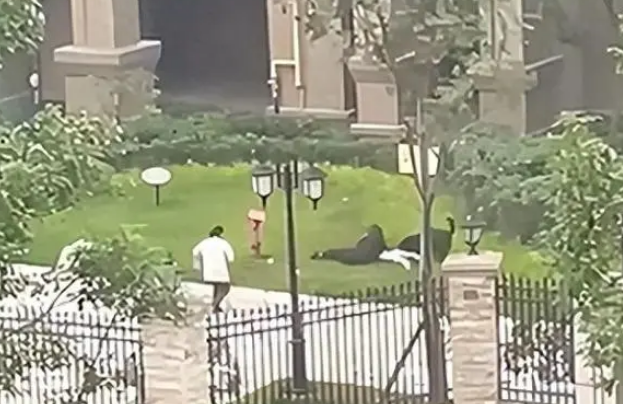 被幸运女神守护的成都小天使，狗咬伤后华丽出院！