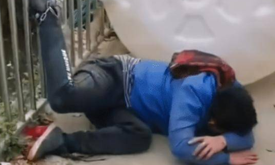 广西一男子偷狗被抓,村民给他拴上铁链:你们遛狗我溜人 广西一男子偷狗被抓,村民给他拴上铁链:你们遛狗我溜人
