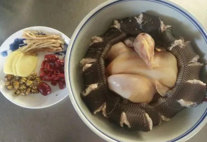 蛇肉和什么煲汤最好 蛇肉和什么煲汤最好