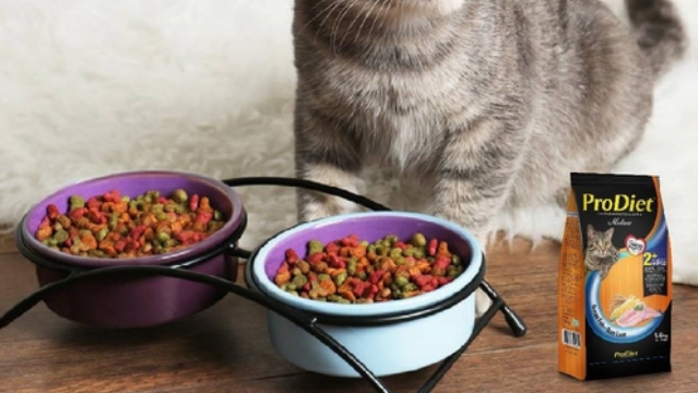 猫咪可以吃生肉吗?博黛 ProDiet 猫咪可以吃生肉吗?博黛 ProDiet