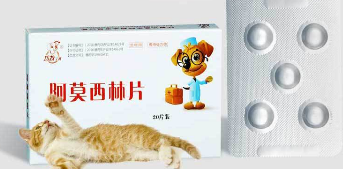 宠物用的阿莫西林和人用区别 宠物用的阿莫西林和人用区别