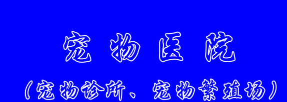 宠物医院、宠物店如何利用平台展示自身优势?安宇权/作 宠物医院、宠物店如何利用平台展示自身优势?安宇权/作