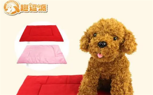 趣逗派