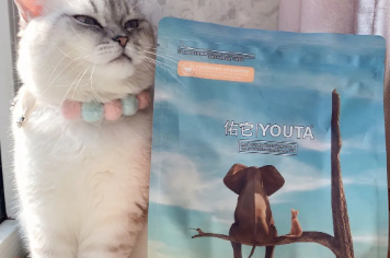 佑它猫粮是毒猫粮吗 佑它猫粮是毒猫粮吗