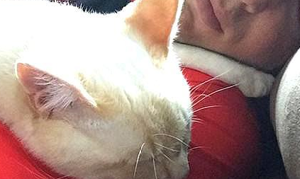小猫在雪地里冻僵,被男子救出后变身最美萌宠,更超爱黏着恩人! 小猫在雪地里冻僵,被男子救出后变身最美萌宠,更超爱黏着恩人!