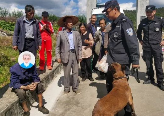 鸡腿安排!警犬“巴克”成功搜救八旬走失老人 鸡腿安排!警犬“巴克”成功搜救八旬走失老人