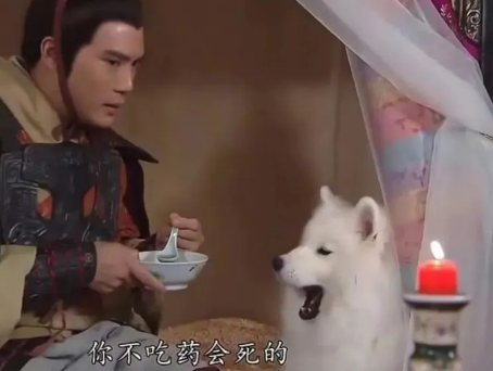 被TVB电视剧里面的哮天犬可爱晕了,这样的哮天犬能降妖除魔吗? 被TVB电视剧里面的哮天犬可爱晕了,这样的哮天犬能降妖除魔吗?
