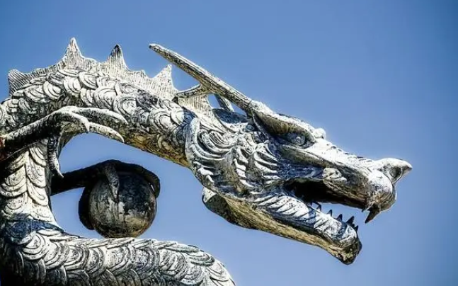 震惊全国的真龙事件
