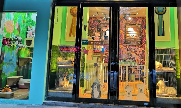 宠多多宠物店有什么优势?本文替你分析 宠多多宠物店有什么优势?本文替你分析