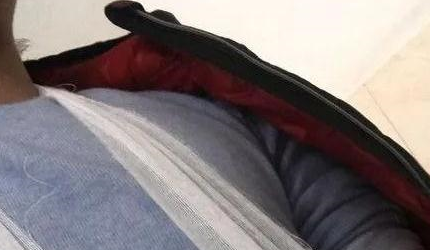 主人出差后二哈就把给家拆了，回来还把自己搞残，网友称炖狗汤吧