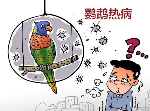 浙江丽水发现鹦鹉热病例 养鸟家庭需注意