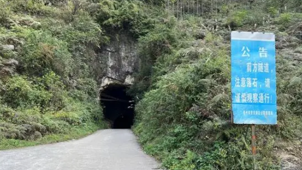 贵安新区马场镇加禾村:黑山羊的“致富链” 贵安新区马场镇加禾村:黑山羊的“致富链”