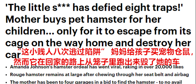 仓鼠越狱后果多严重？在车里打洞，放火烧了两条狗