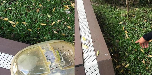 虎斑猫被装进外出笼丢草堆曝晒,当时户外温度竟高达37度! 虎斑猫被装进外出笼丢草堆曝晒,当时户外温度竟高达37度!
