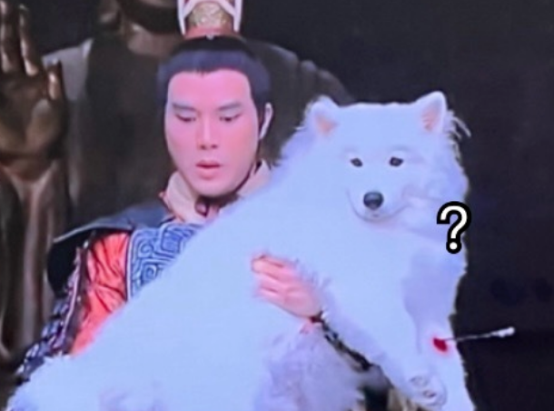被TVB电视剧里面的哮天犬可爱晕了,这样的哮天犬能降妖除魔吗? 被TVB电视剧里面的哮天犬可爱晕了,这样的哮天犬能降妖除魔吗?
