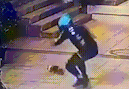 外卖骑手虐猫,被监控全程拍下 外卖骑手虐猫,被监控全程拍下