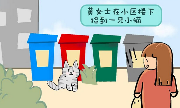 饲养者的宠物诊疗维权指南