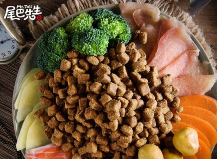 尾巴先生宠物零食：为宠物提供美味与健康