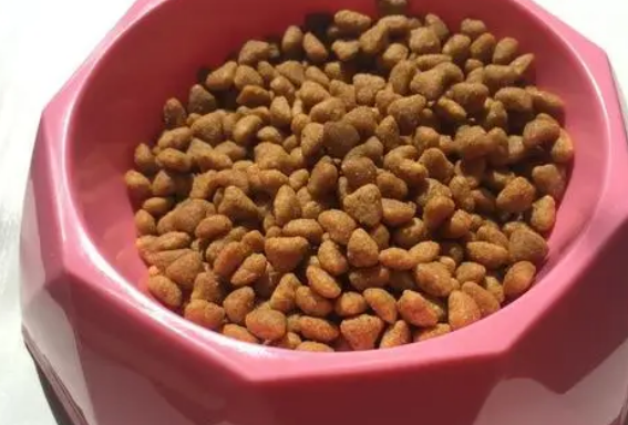 漫菲特狗粮怎么喂?正确的喂食方法~ 漫菲特狗粮怎么喂?正确的喂食方法~