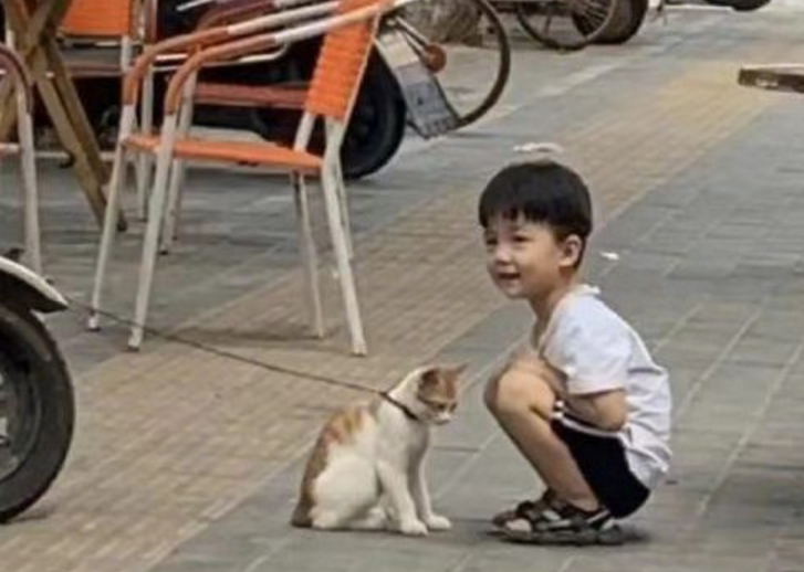 家中小猫送人后孩子第二天没回家，父亲出门看到一幕感动落泪