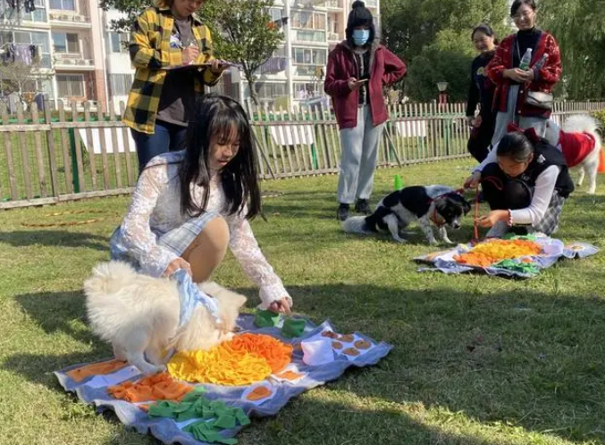 如何规范文明养犬行为?金山这个居民区探索“一三六”治理模式破解居宠矛盾 如何规范文明养犬行为?金山这个居民区探索“一三六”治理模式破解居宠矛盾