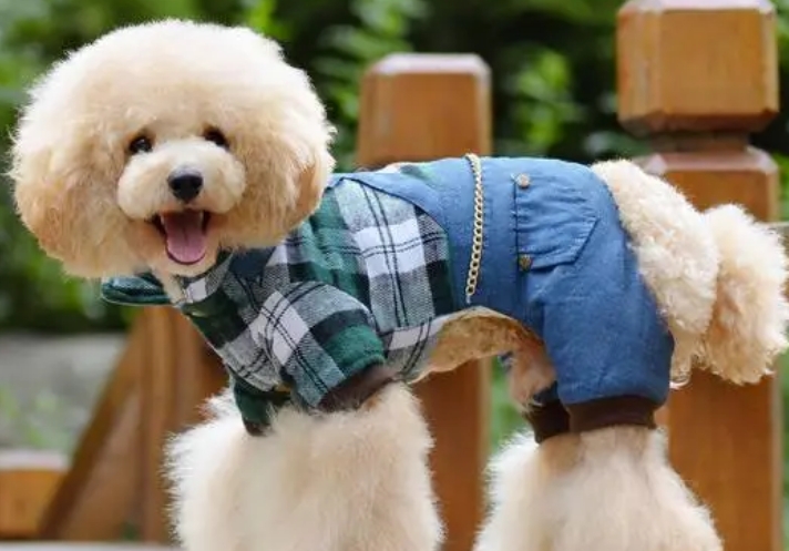 西班牙十大服装品牌