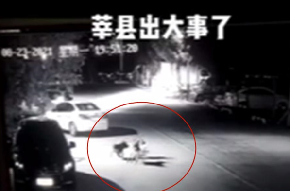 山东莘县一小孩被两只狗撕咬,当地警方回应:已控制相关人员 山东莘县一小孩被两只狗撕咬,当地警方回应:已控制相关人员