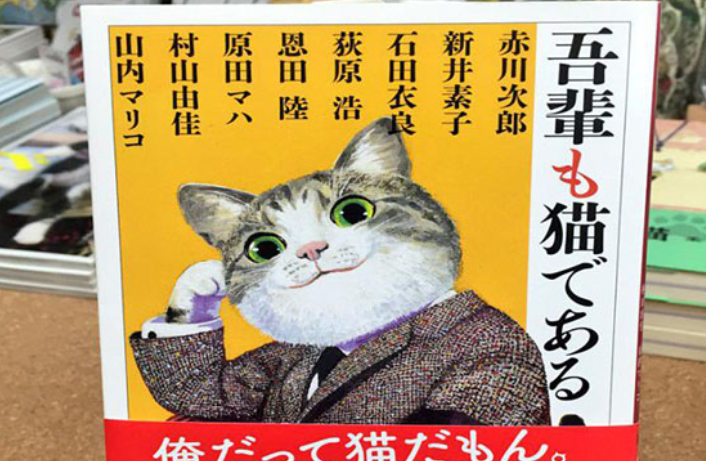 喵星人为何称霸日本:从“猫猫经济学”到“猫型社会 喵星人为何称霸日本:从“猫猫经济学”到“猫型社会
