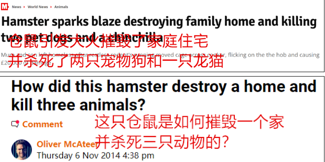 仓鼠越狱后果多严重？在车里打洞，放火烧了两条狗
