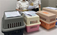中国出入境检验检疫协会