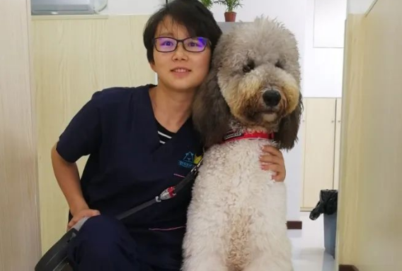 派奇院长陈雷:这种【员工福利】比团建更好 派奇院长陈雷:这种【员工福利】比团建更好