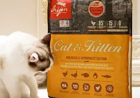 原始猎食渴望猫粮怎么样 原始猎食渴望猫粮怎么样