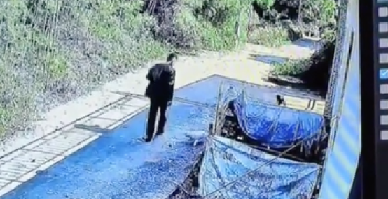 男子从门口路过，受到3只小狗热情迎接，于是他顺手牵羊抱走一只