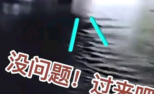 广东惠州路面积水男子不敢开车过去,小狗勇敢探路,叫主人快过来 广东惠州路面积水男子不敢开车过去,小狗勇敢探路,叫主人快过来