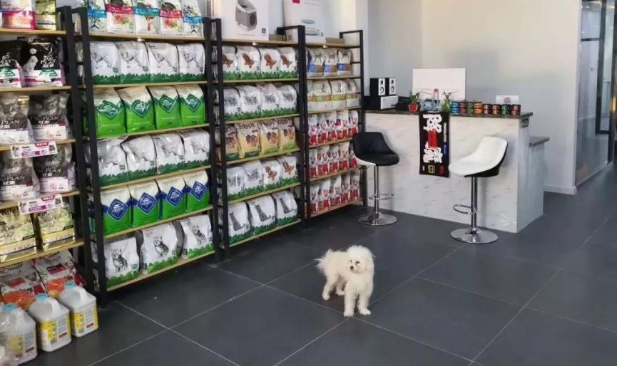 中国宠物店数量 中国宠物店数量